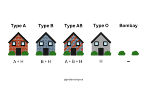 ABO vs Bombay Blood Types